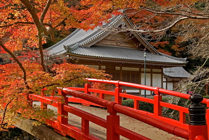 autumn temple